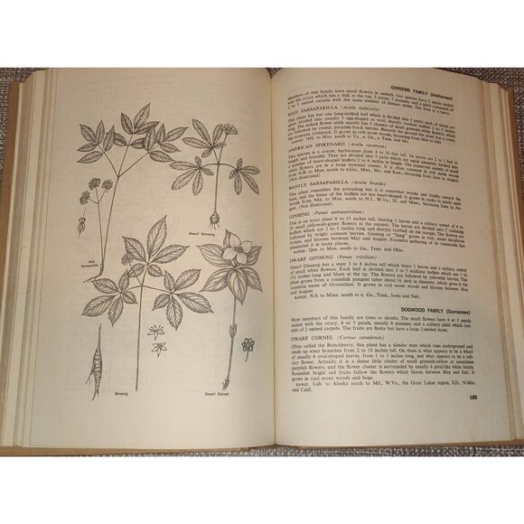 How to Recognize Flowering Wild Plants, by William Carey Grimm, 1968, Hardcover - Picture 6 of 7